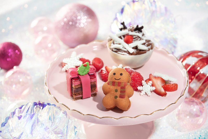時間: 2023-12-03 03:40 PM 檔名: JAJA_Christmas Chocolate Mousse with Raspberry Chocolate Cak 大小: 66.98 KB 尺寸: 800x533px