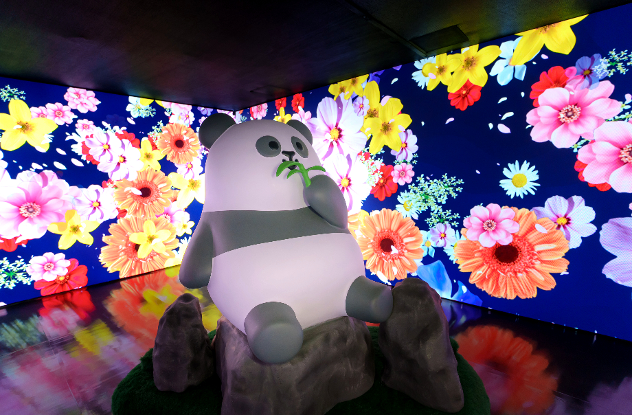 ɶ: 2025-02-03 02:17 AM 
ɦW: op-xmas-2024-panda-8 
jp: 799.56 KB 
ؤo: 920x604px
